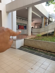 Blk 277C Compassvale Link (Sengkang), HDB 4 Rooms #309056721